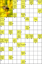 Сканворд № 5334 “Пчела”